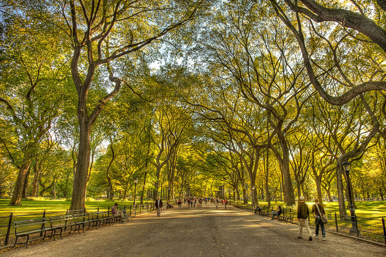 Seth Walters HDR New York Manhattan Central Park The Mall